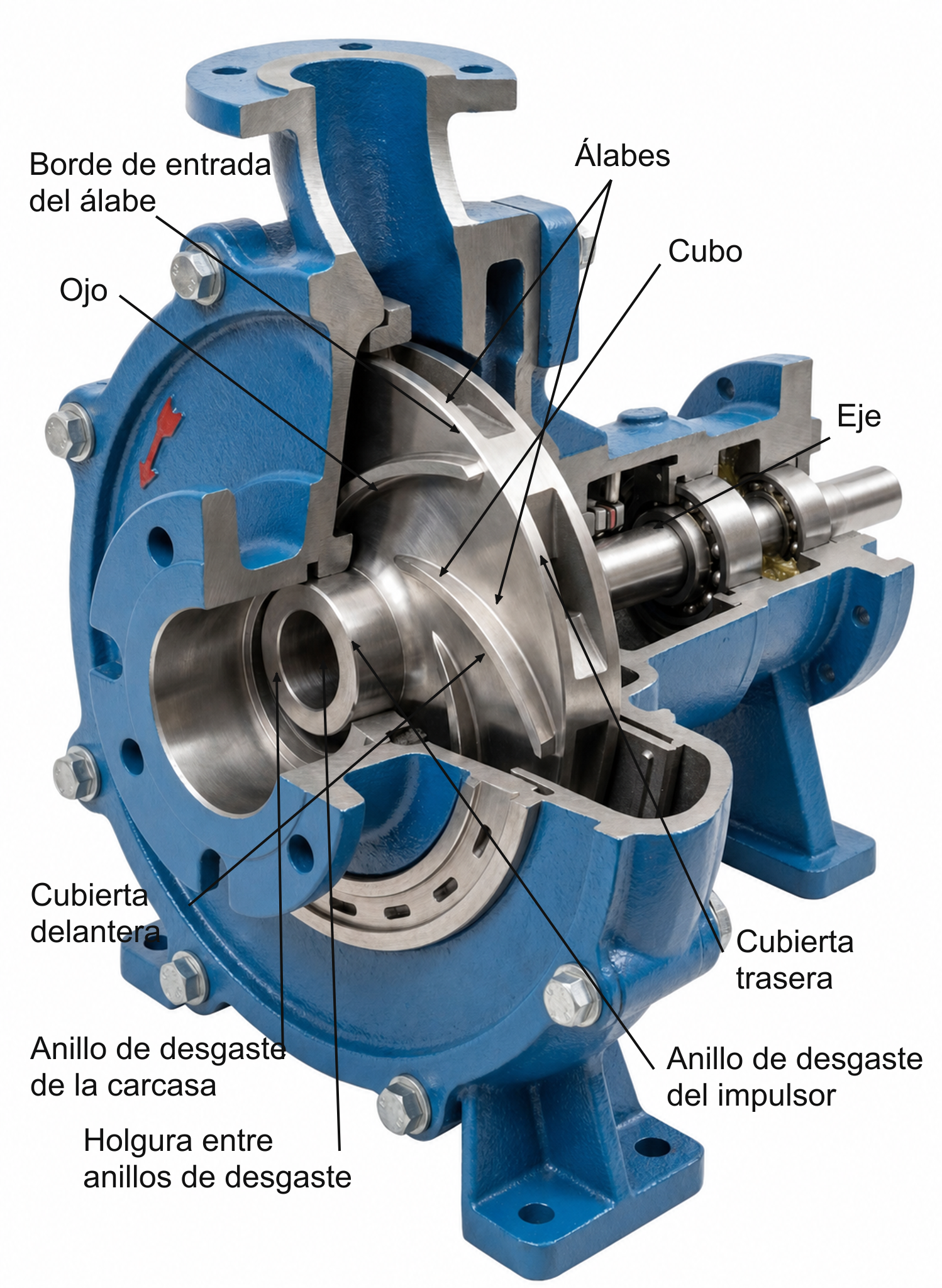 Corte anotado de una bomba centrífuga que identifica el ojo, el borde de entrada, los álabes, el cubo, el eje, las cubiertas, los anillos de desgaste y su holgura.
